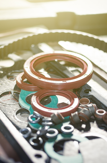 Shop Kelpro's Oil Seals